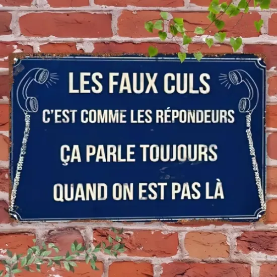 Image de Plaque de rue les faux culs