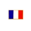Image de Broche drapeau francais rectangle