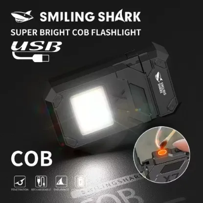 Image de Briquet lampe de poche