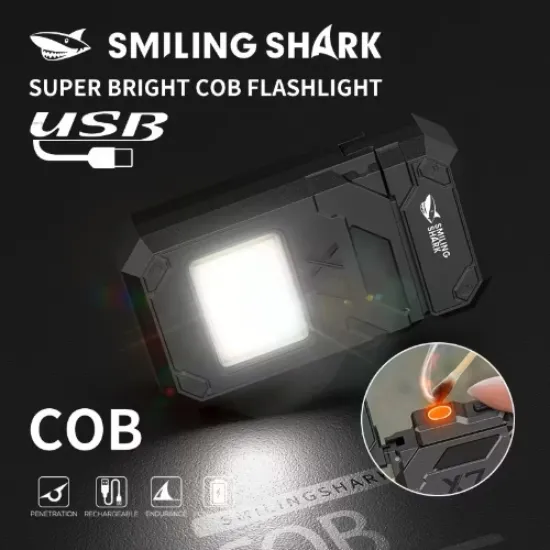 Image de Briquet lampe de poche