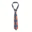 Image de Cravate tricolore